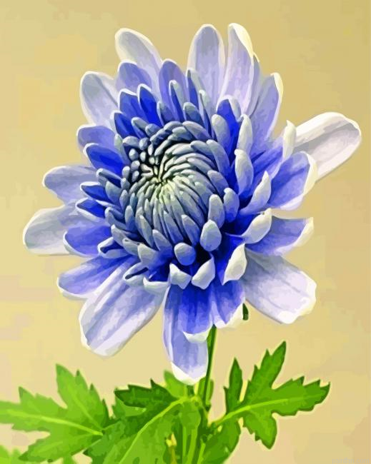 Chrysanthemum Flower Paint By Number.png