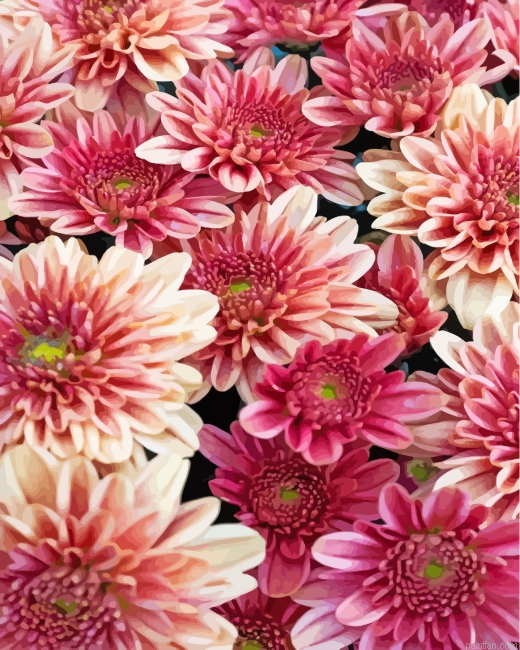 Chrysanthemum Flowers Paint By Number.png