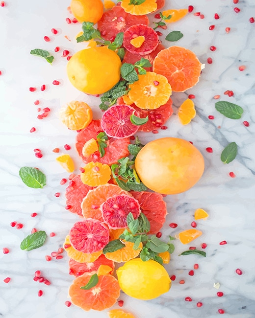 Citrus Pomegranate Salad New Paint By Number.png