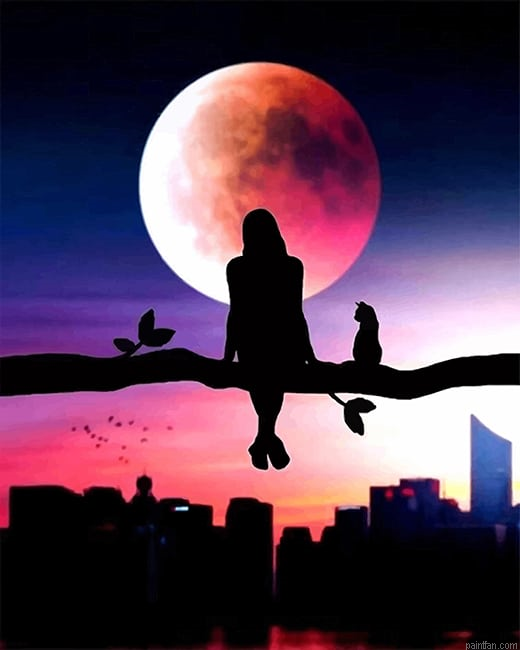 City Girl Silhouette New Paint By Numbers.png