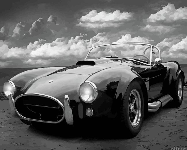 Classic Black And White Car Paint By Numbers.png
