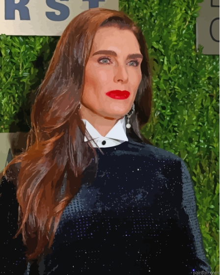 Classy Brooke Shields Paint By Numbers.png