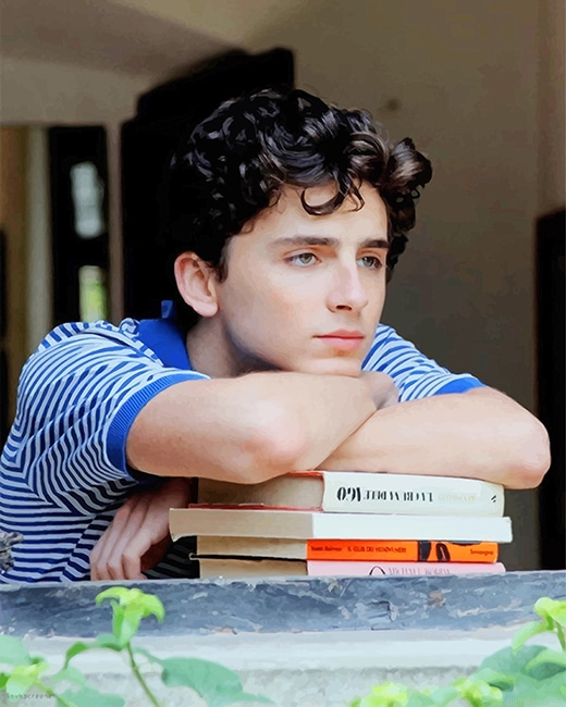 Classy Handsome Timothee Chalamet New Paint By Numbers.png