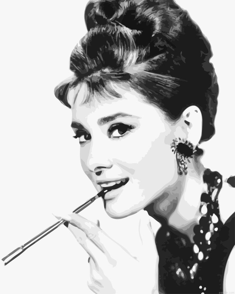Classy Hepburn Paint By Numbers.png