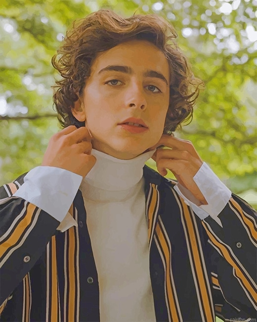 Classy Timothee Chalamet New Paint By Numbers.png