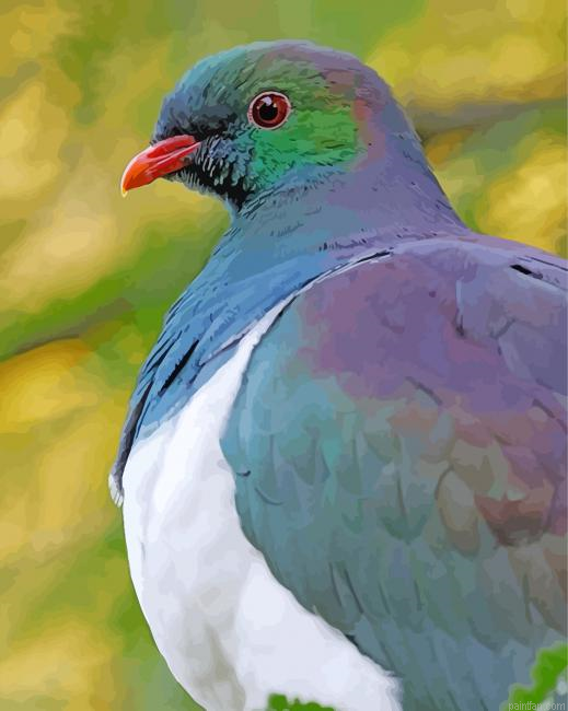 Close Up Kereru Paint By Numbers.png