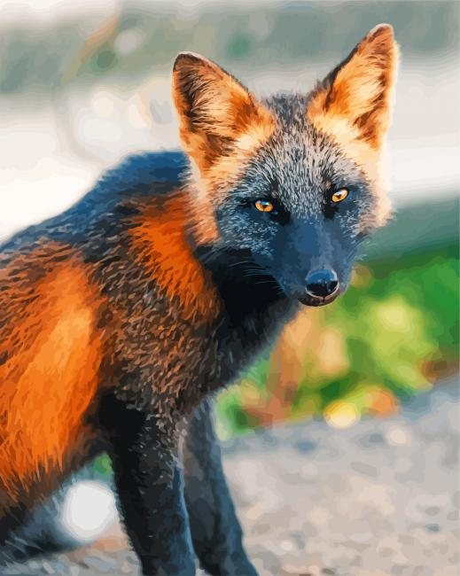 Close Up Melanistic Fox Paint By Numbers.png