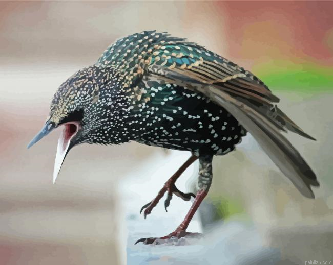 Close Up Starling Paint By Numbers.png