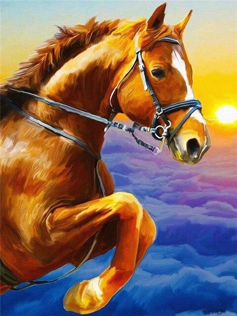 Clouds Horse Paint By Numbers.png