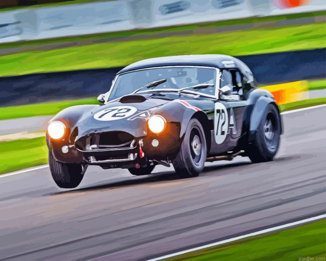 Cobra Race Car Paint By Numbers.png