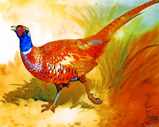 Cock Pheasant Paint By Number.png