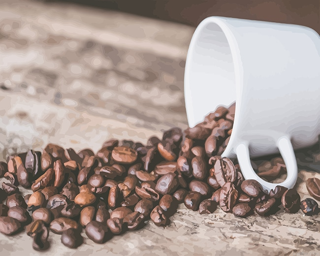 Coffee Cup Beans Birds Paint By Number.png