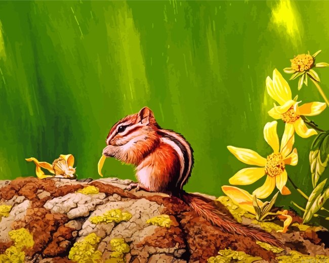 Colorado Chipmunk Paint By Number.png