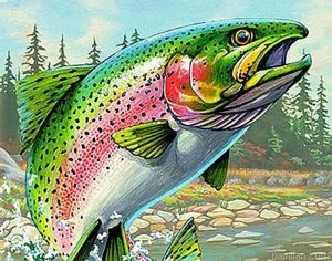 Colored Salmon Paint By Numbers.png