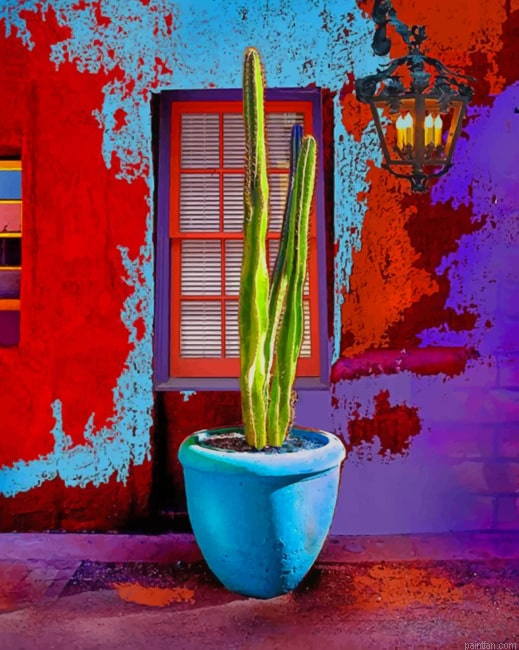 Colorful Barrio Tucson New Paint By Numbers.png