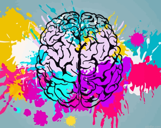 Colorful Brain Art Paint By Numbers.png