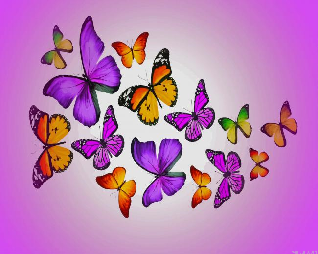 Colorful Butterflies New Paint By Numbers.png