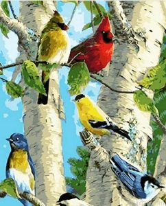 Colorful Cardinals Paint By Numbers.png
