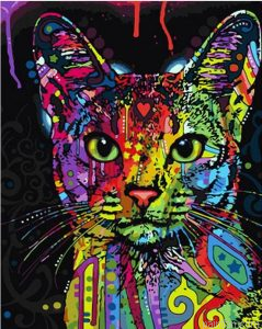 Colorful Cats Paint By Numbers.png