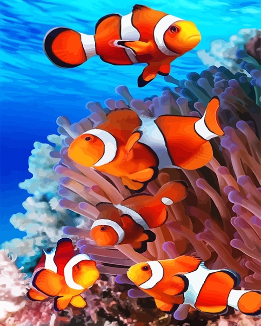 Colorful Clown Fish New Paint By Numbers.png