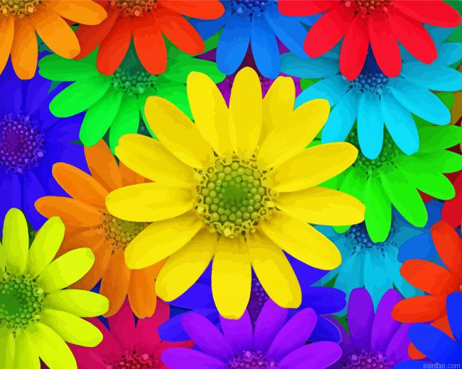 Colorful Daisy Paint By Numbers.png