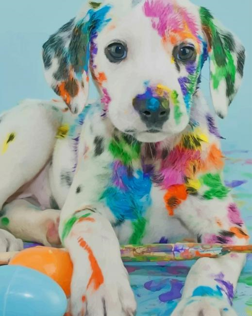 Colorful Dalmatian Paint By Number.png