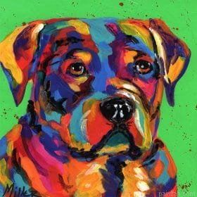 Colorful Dog Boxer Paint By Numbers.png
