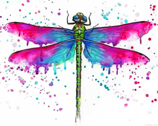 Colorful Dragonfly Paint By Numbers.png