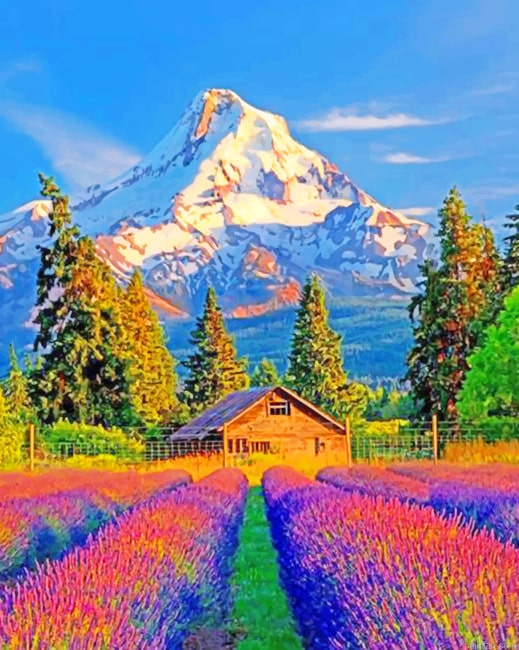 Colorful Fields And Mountains Landscape Paint By Numbers.png