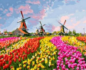 Colorful Fields Paint By Numbers.png