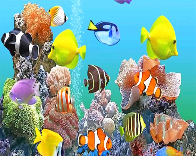 Colorful Fishes Deep Sea Paint By Number.png