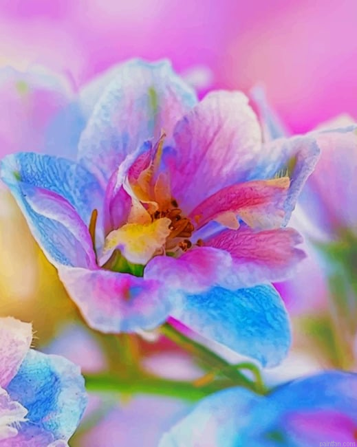 Colorful Flower New Paint By Numbers.png