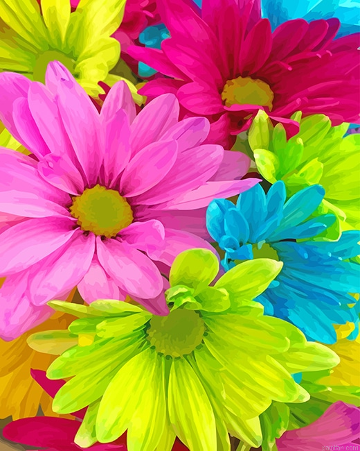 Colorful Flowers New Paint By Numbers.png