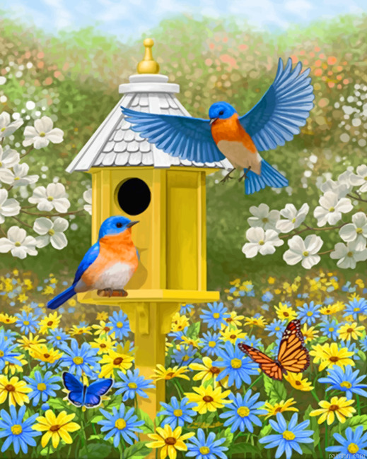 Colorful Garden Bluebirds And Birdhouse Paint By Numbers.png