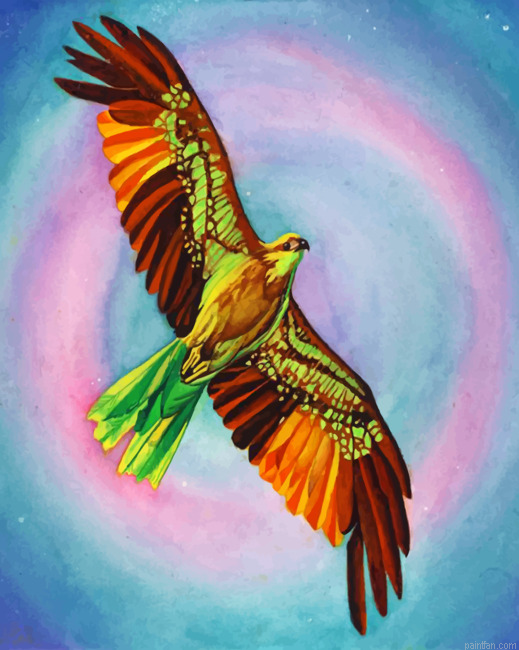Colorful Hawk Bird Paint By Numbers.png