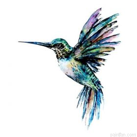 Colorful Hummingbird Paint By Numbers.png