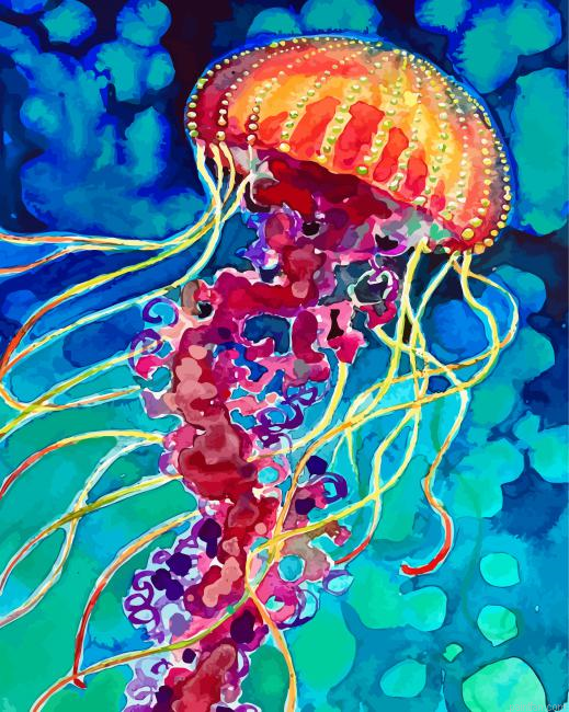 Colorful Jellyfish Paint By Numbers.png