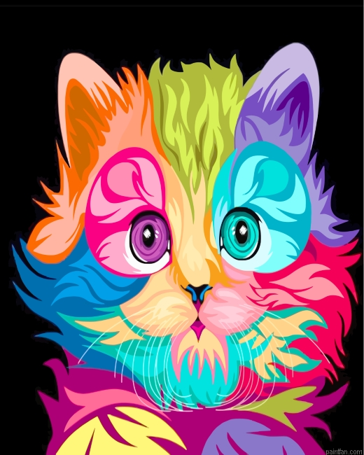 Colorful Kitten Paint By Number.png
