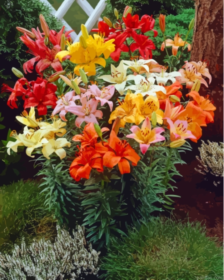 Colorful Lilies Paint By Numbers.png