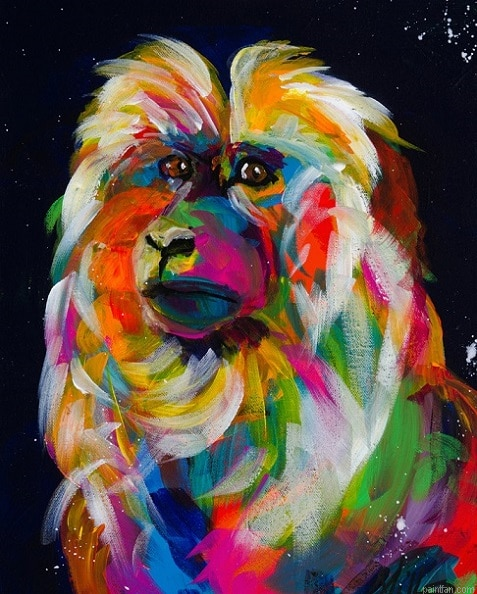 Colorful Macaque Paint By Number.png