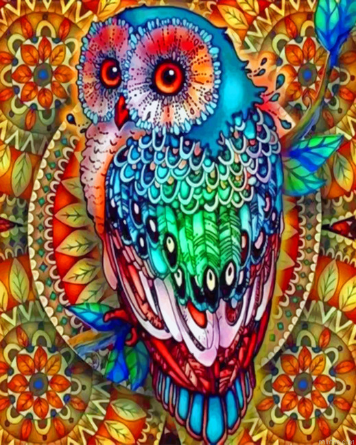 Colorful Mandala Owl Paint By Number.png