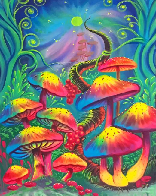 Colorful Mushrooms Paint By Number.png
