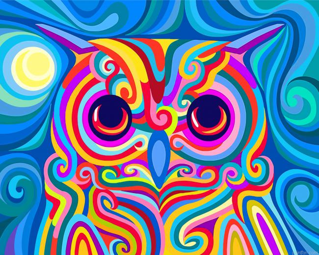 Colorful Owl Paint By Number.png
