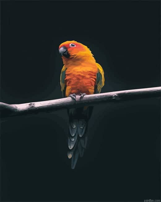 Colorful Parrot New Paint By Numbers.png
