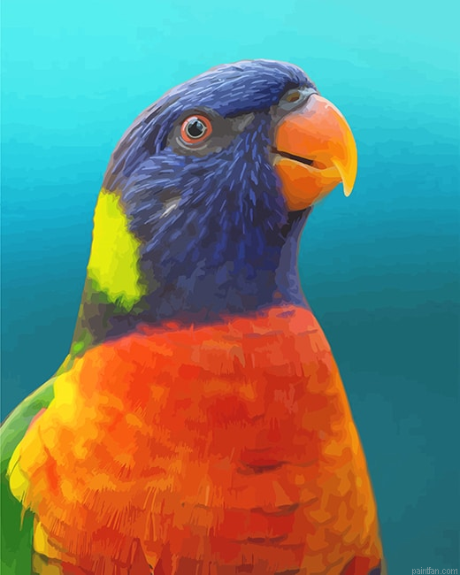 Colorful Parrot New Paint By Numbers.png