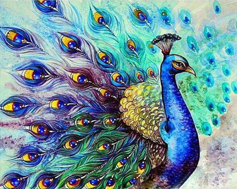 Colorful Peacock Birds Paint By Number.png