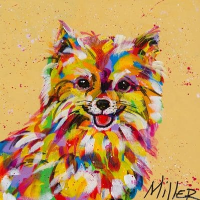Colorful Pomeranian Paint By Numbers.png