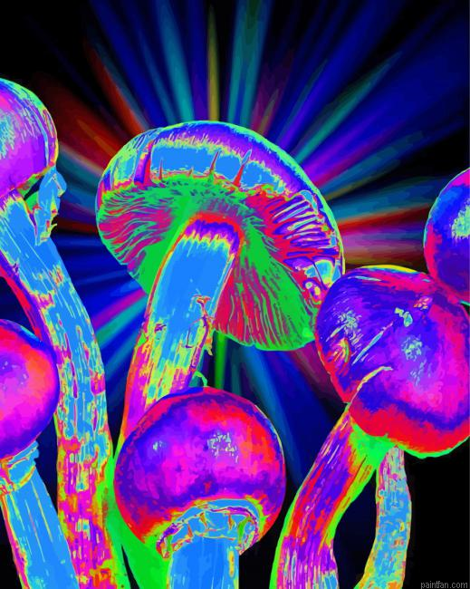 Colorful Psilocybes Paint By Numbers.png