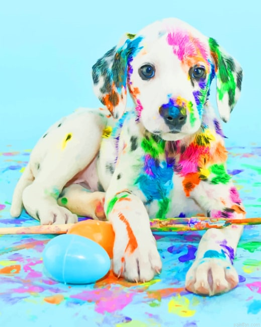 Colorful Puppy New Paint By Numbers.png