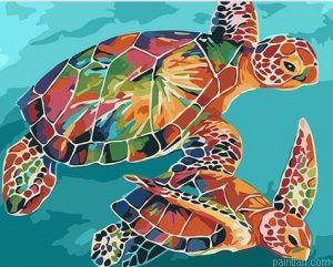 Colorful Tortoise Paint By Numbers.png